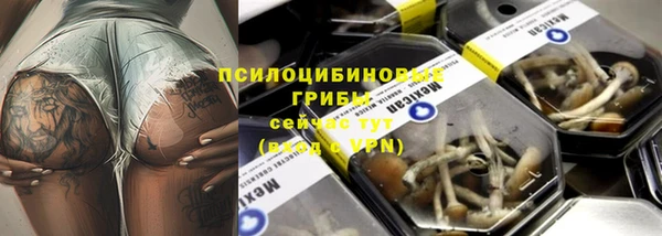 jwh Белокуриха
